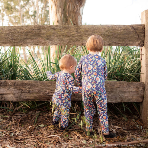 Monarch Store Bamboo Romper (Bootysuit) V3.0 LONG SLEEVED : Peter Rabbit Classic